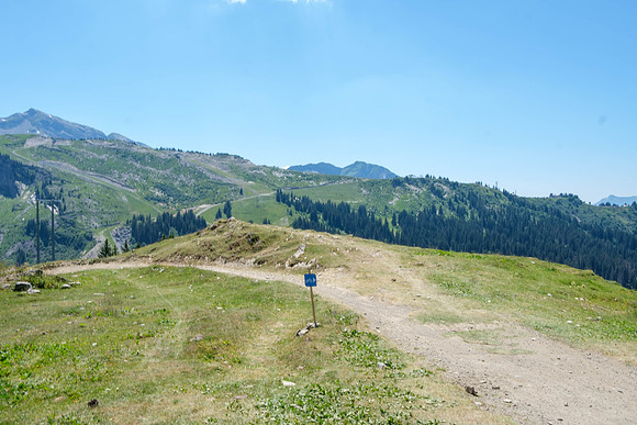 DSCF5770